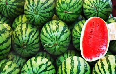 دمنوش تخم هندوانه؛ نوشیدنی ساده با ۸ فایده بزرگ