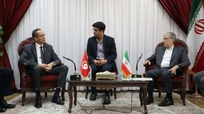 رایزنی‌ سیمایی با همتایان تونسی و اندونزیایی در وزارت علوم