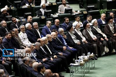 سوگ فراق شهدای خدمت در خانه ملت