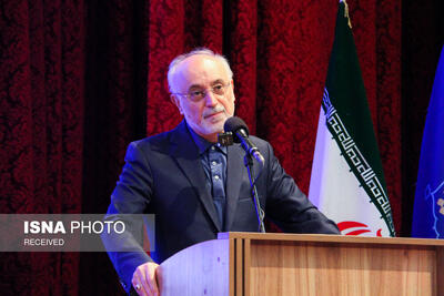 صالحی: شهید امیرعبداللهیان مردی از تبار عقلانیت در میدان عمل بود