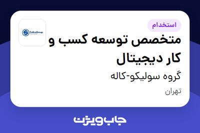 استخدام متخصص توسعه کسب‌ و کار دیجیتال در گروه سولیکو-کاله
