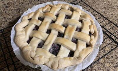 طرز تهیه پای توت سفید+ نکات و فوت‌وفن‌ ها