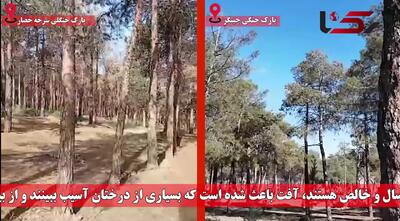پاسخ به یک ابهام / چه شد که پارک‌های سرخه‌حصار و چیتگر خشک شدند؟ + فیلم