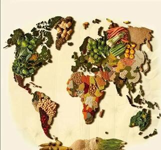 چین و امریکا در صدر جدول غول‌های کشاورزی جهان