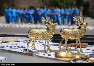 طرح دستگیری سارقان و خریداران اموال مسروقه- عکس خبری تسنیم | Tasnim