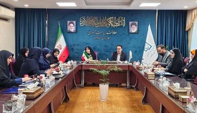 معاون رئیس‌جمهور: بیش از ۷۰ درصد مشاغل خانگی ثبت‌شده متعلق به زنان است