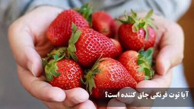 آیا توت فرنگی چاق کننده است؟ توت فرنگی چقدر قند دارد؟ توت فرنگی حساسیت زاست؟