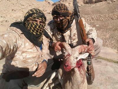 شکار مجاز تا کجا ادامه خواهد داشت؟! / «یوزکنام» نتیجه درخشان مشارکت مردمی بود