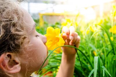 از دست دادن حس بویایی و شنوایی را جدی بگیرید