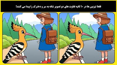 فقط تیزبین ها در 6 ثانیه تفاوت های دو تصویر شانه به سر و دخترک را پیدا می کنند!