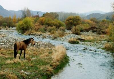 گشت و گذار قرق شکارگاه سلطنتی شرق تهران