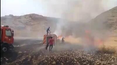 پارک ملی دز دزفول دچار آتش‌سوزی گسترده شد