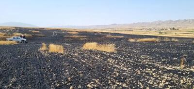 سوختن ۶۰ هکتار از مزارع گندم و جو درشهرستان گیلانغرب
