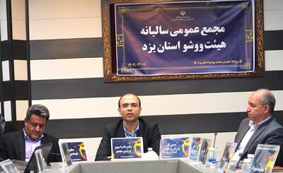 رئیس فدراسیون ووشو کشور حمایت صنایع یزد از این رشته را خواستار شد