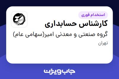 استخدام کارشناس حسابداری در گروه صنعتی و معدنی امیر(سهامی عام)