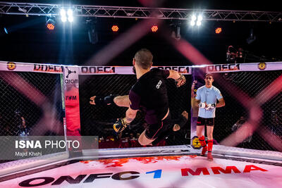 فدراسیون رزمی به‌دنبال مجوز برای حضور زنان در MMA - پارس فوتبال