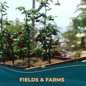 فیلم تیزر از مپ وارزون تحت عنوان Caldera + فیلم
