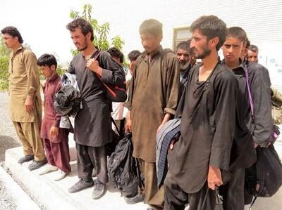 انتقاد روزنامه اصولگرا از حضور اتباع در ایران | رویداد24