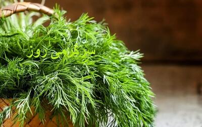 بهترین سبزی برای کاهش چربی خون را بشناسید