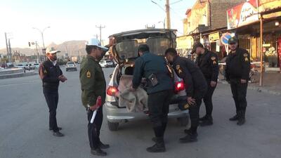 تشدید طرح ارتقاء امنیت اجتماعی در بهمئی با حضور گسترده پلیس و برخورد قاطع با هنجارشکنان