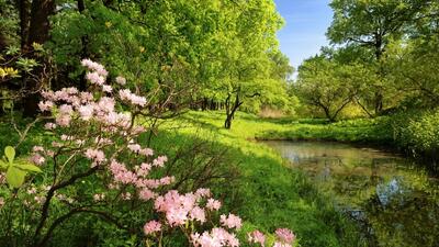 مناسبت‌ها و تعطیلی‌های تقویم خرداد ۱۴۰۴