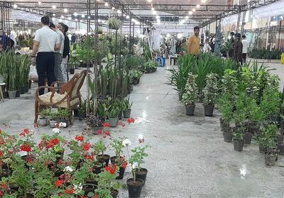 نمایشگاه گل و گیاه در بیرجند/عدم اطلاع رسانی و استقبال کم - تسنیم