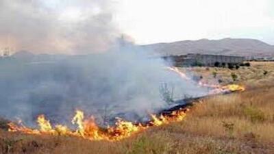 آتش ۶۰ هکتار از مزارع گندم و جو گیلانغرب را خاکستر کرد