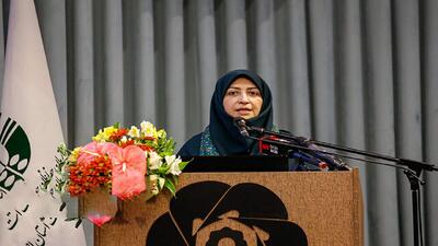 ۳ پیشنهاد رئیس سازمان حفاظت محیط زیست برای نجات دریای خزر