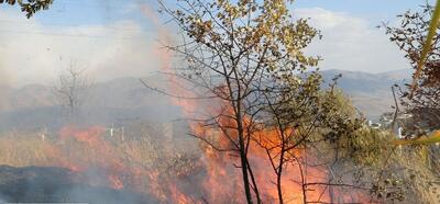 آتش سوزی در جنگل های خوزستان