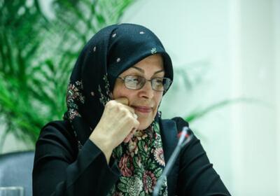 آذر منصوری: جریانی در اقلیت، خود را در اکثریت می داند