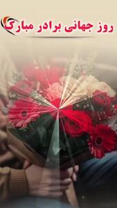 کلیپ تبریک روز جهانی برادر ۱۴۰۴ برای استوری