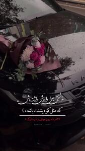 کلیپ تبریک روز برادر برای وضعیت واتساپ