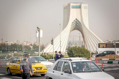 چرا درخت‌های میدان آزادی خشک شد؟