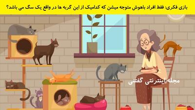 بازی فکری: فقط افراد باهوش متوجه میشن که کدامیک از این گربه ها در واقع یک سگ می باشد؟