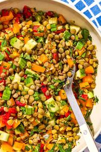 طرز تهیه سالاد عدس فرانسوی؛ غذایی سالم و خوشمزه | رصد ۱۰۰