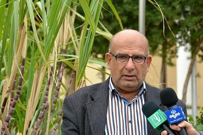 سود تجمیعی صنعت نیشکر فراتر از پیش‌بینی بودجه شد
