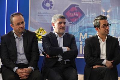 سهامداران، دامنه ریسک‌پذیری برای خود تعریف کنند