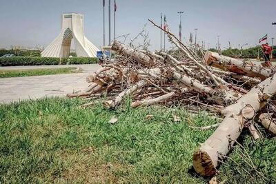 شهرداری درختان میدان آزادی را قطع کرد/ دلیل عجیب یک مسئول + عکس