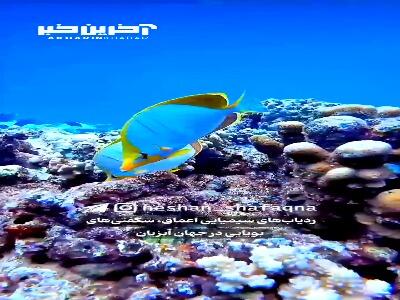 ردیاب شیمیایی در اعماق آب