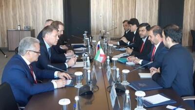 دیدار رئیس سازمان تعزیرات با مسئولان قضائی روسیه