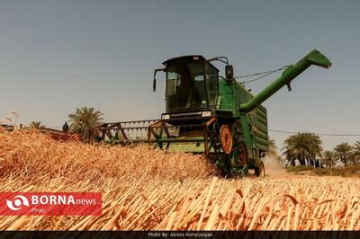 عبور خرید تضمینی گندم درپلدختر از مرز 3 هزار تن
