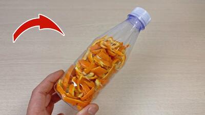 دیگه پوست پرتقال را دور نریزید / پوست پرتقال را در بطری پلاستیکی قرار دهید