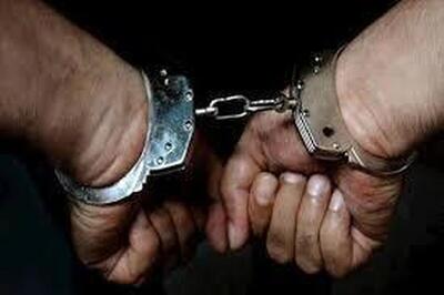 عامل اسیدپاشی و تیراندازی هوایی در شهرک دانشگاه دستگیر شد
