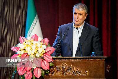 اسلامی: کسی نمی تواند به ما بگوید کدام مسیر را باید برویم