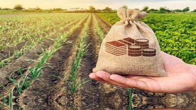 حمایت کمیسیون کشاورزی مجلس در تخصیص هدفمند اعتبارات به سیستان و بلوچستان
