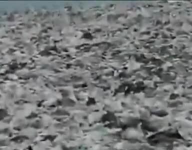 هشدار چند ماه پیش استاندار گیلان در مورد یک فاجعه!