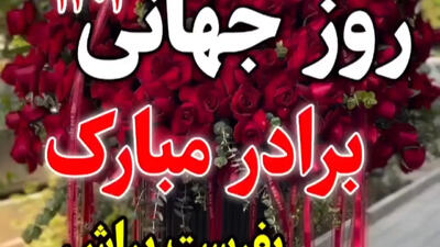 استوری تبریک روز برادر روز جهانی بردار مبارک | داداش جان روزت مبارک آهنگ شاد | 3 خرداد 1404