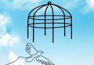 شرط عجیب اولیای دم برای بخشش قاتل/ پرداخت هزینه ترک اعتیاد ۱۱۴ معتاد