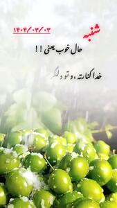 فال چای امروز + فیلم