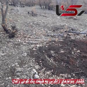 کشتار بلوط‌های زاگرس به قیمت یک گونی زغال / مدیرکل منابع طبیعی کرمانشاه: تا ۱۵ خرداد دیده‌بان‌ها ۳۲ نفر می شوند+ فیلم و عکس